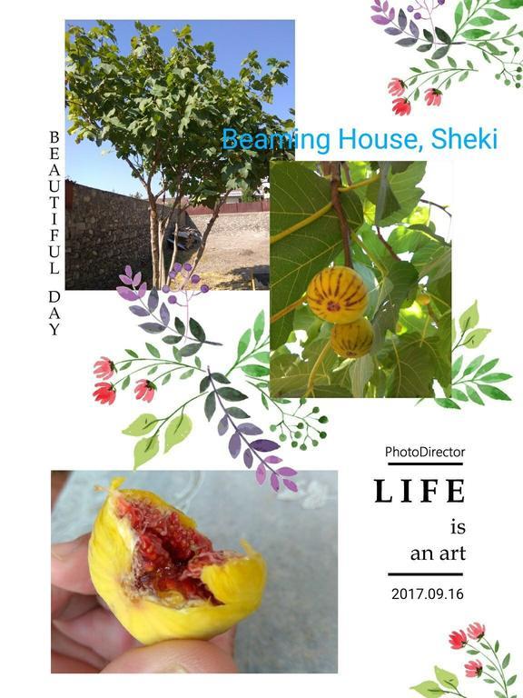 Beaming_House Otel Şǝki Dış mekan fotoğraf